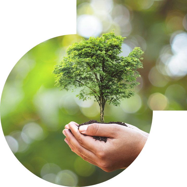 关怀人类、文化、环境与社会